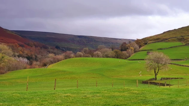 This weekends walk 11 pic 6