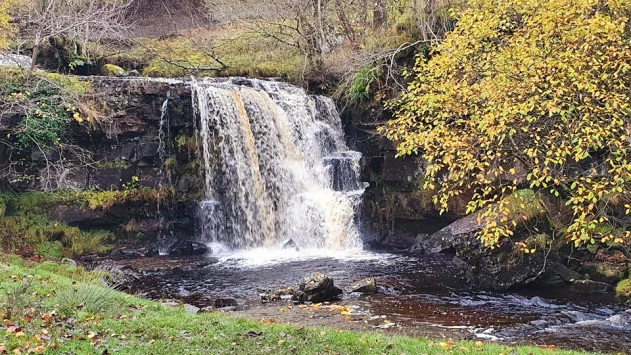 This weekends walk 11 pic 8