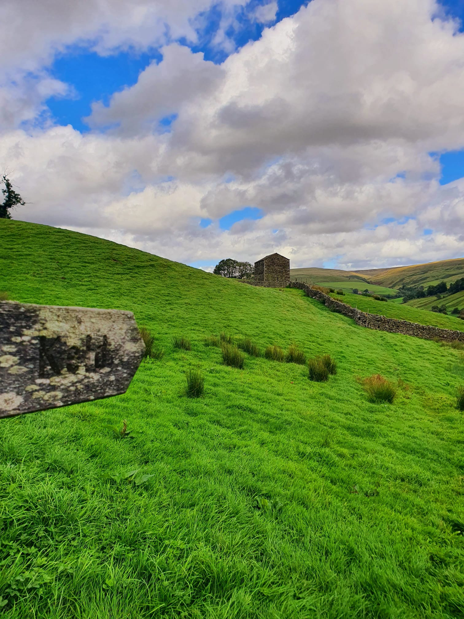 WhatsApp Image 2025 11 02 at 13.44.53