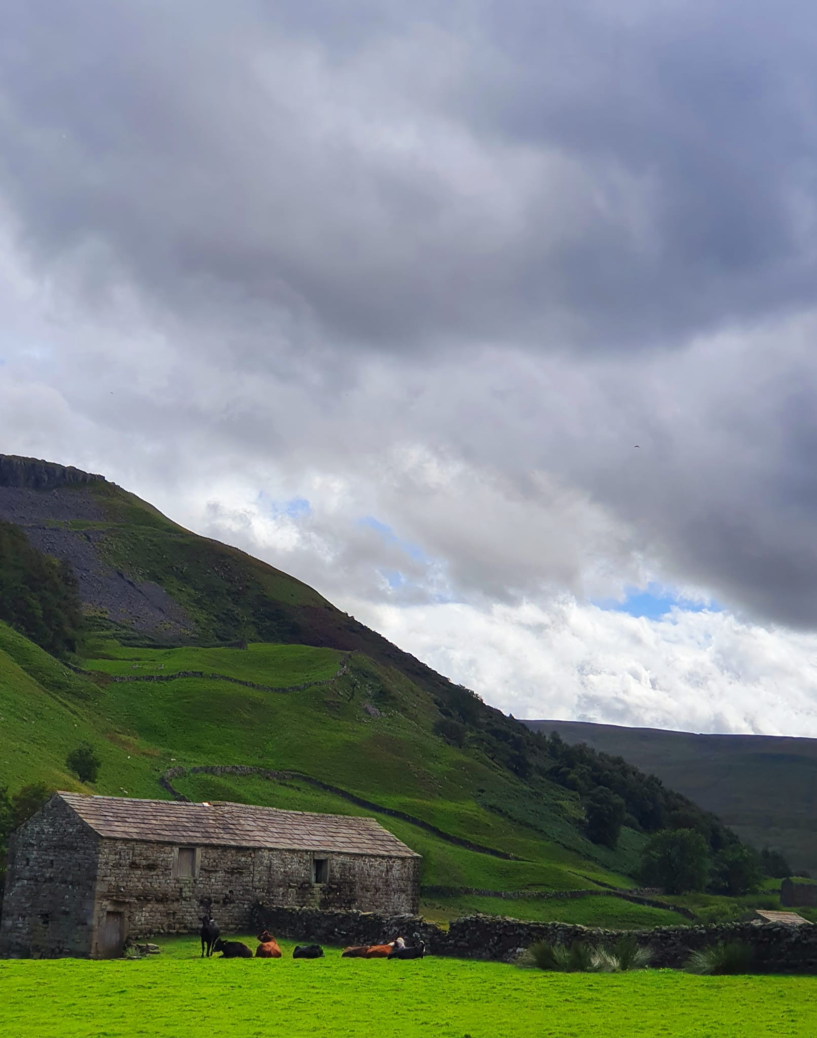 WhatsApp Image 2025 11 02 at 13.44.54 (1)