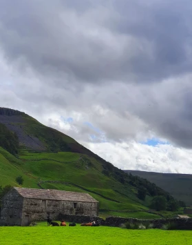 WhatsApp Image 2025 11 02 at 13.44.54 (1)