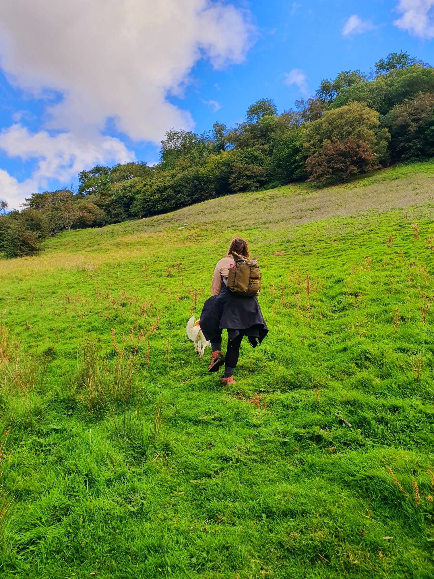 WhatsApp Image 2025 11 02 at 13.44.54 (3)