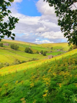 WhatsApp Image 2025 11 02 at 13.44.54 (4)