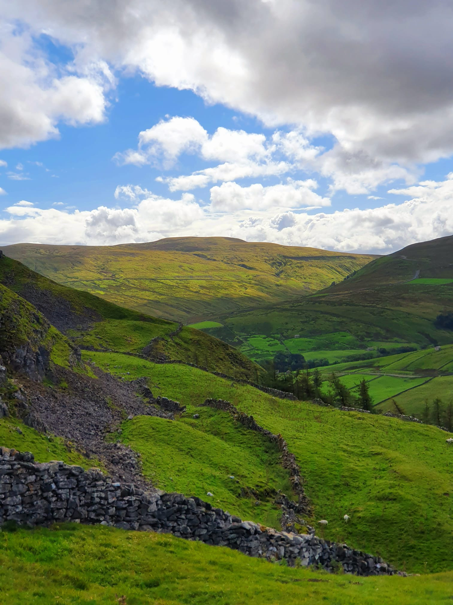 WhatsApp Image 2025 11 02 at 13.44.54 (6)