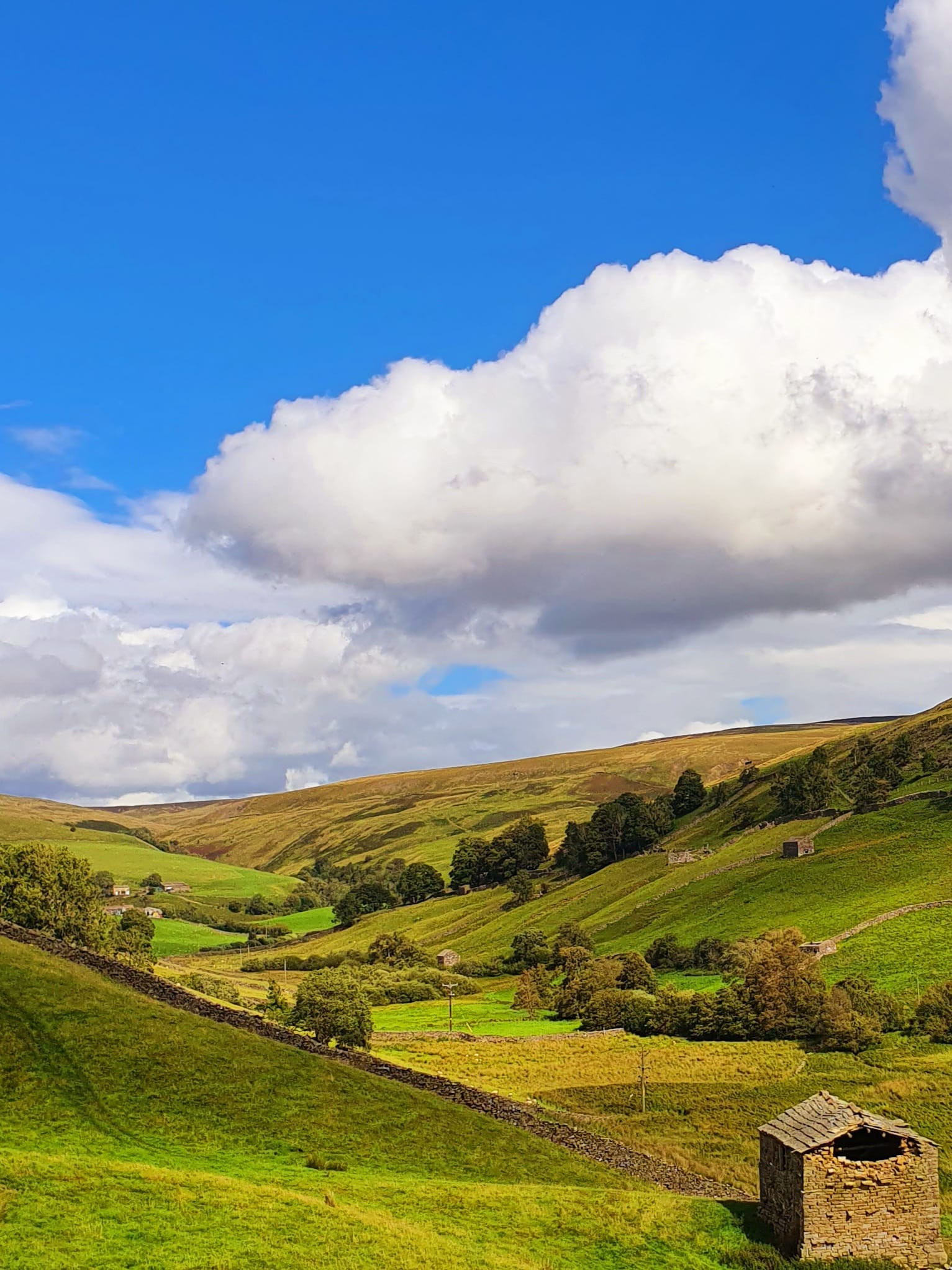 WhatsApp Image 2025 11 02 at 13.44.54