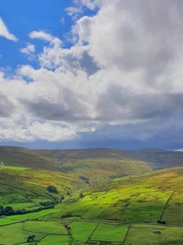 WhatsApp Image 2025 11 02 at 13.44.55 (1)