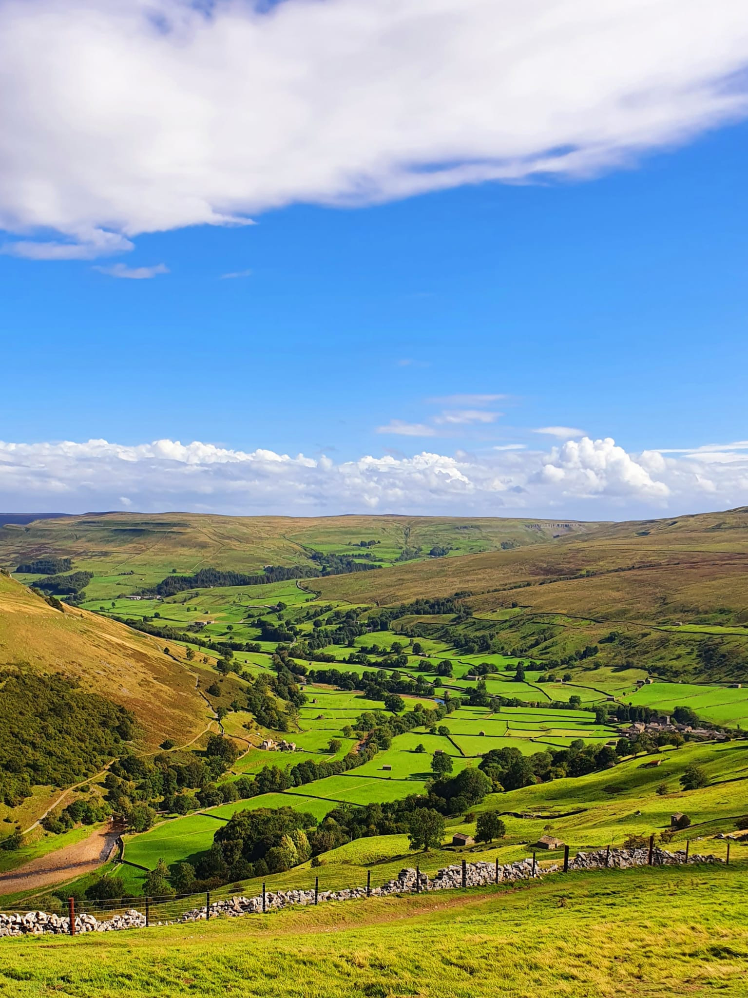 WhatsApp Image 2025 11 02 at 13.44.55 (5)