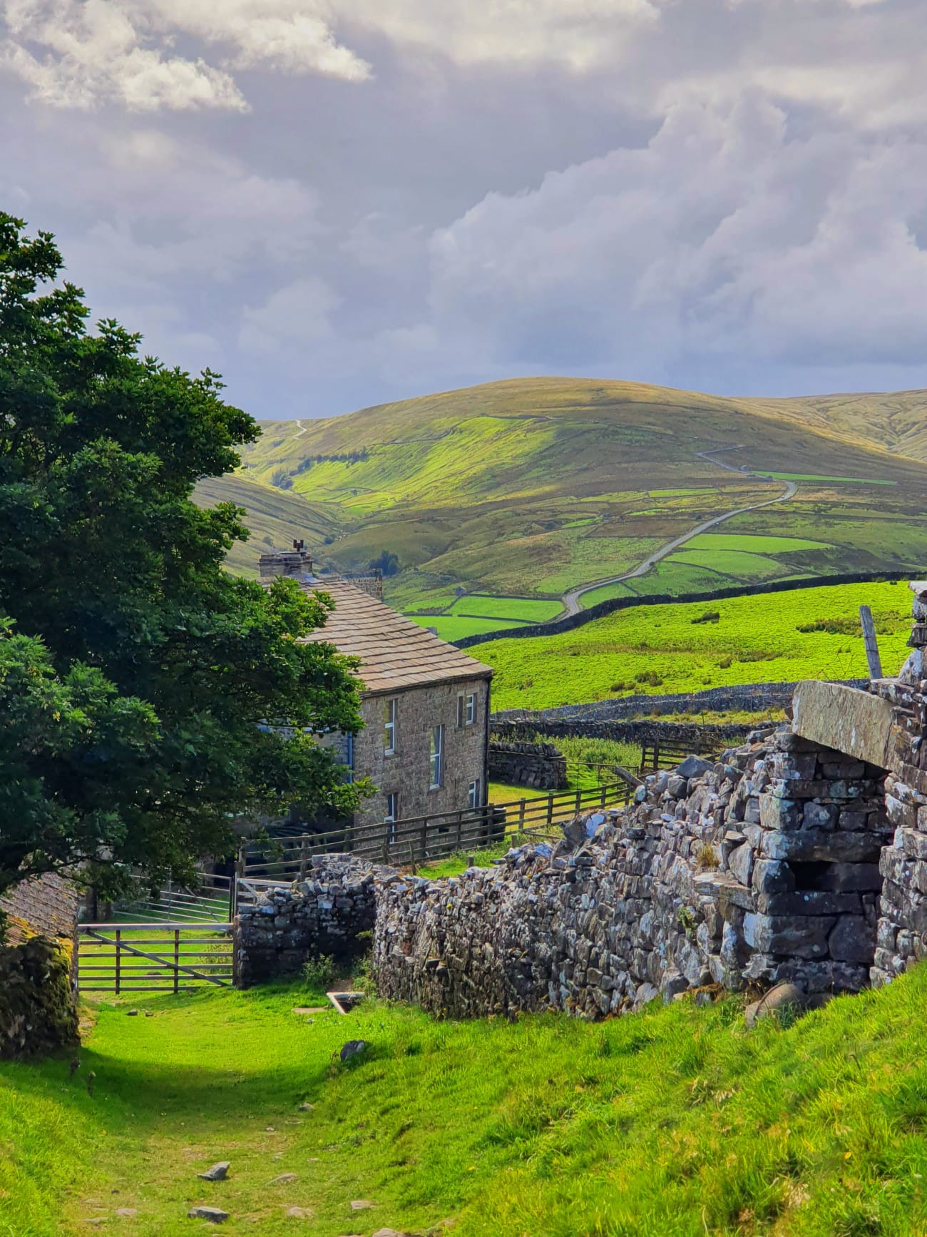 WhatsApp Image 2025 11 02 at 13.44.56 (1)