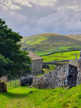 WhatsApp Image 2025 11 02 at 13.44.56 (1)