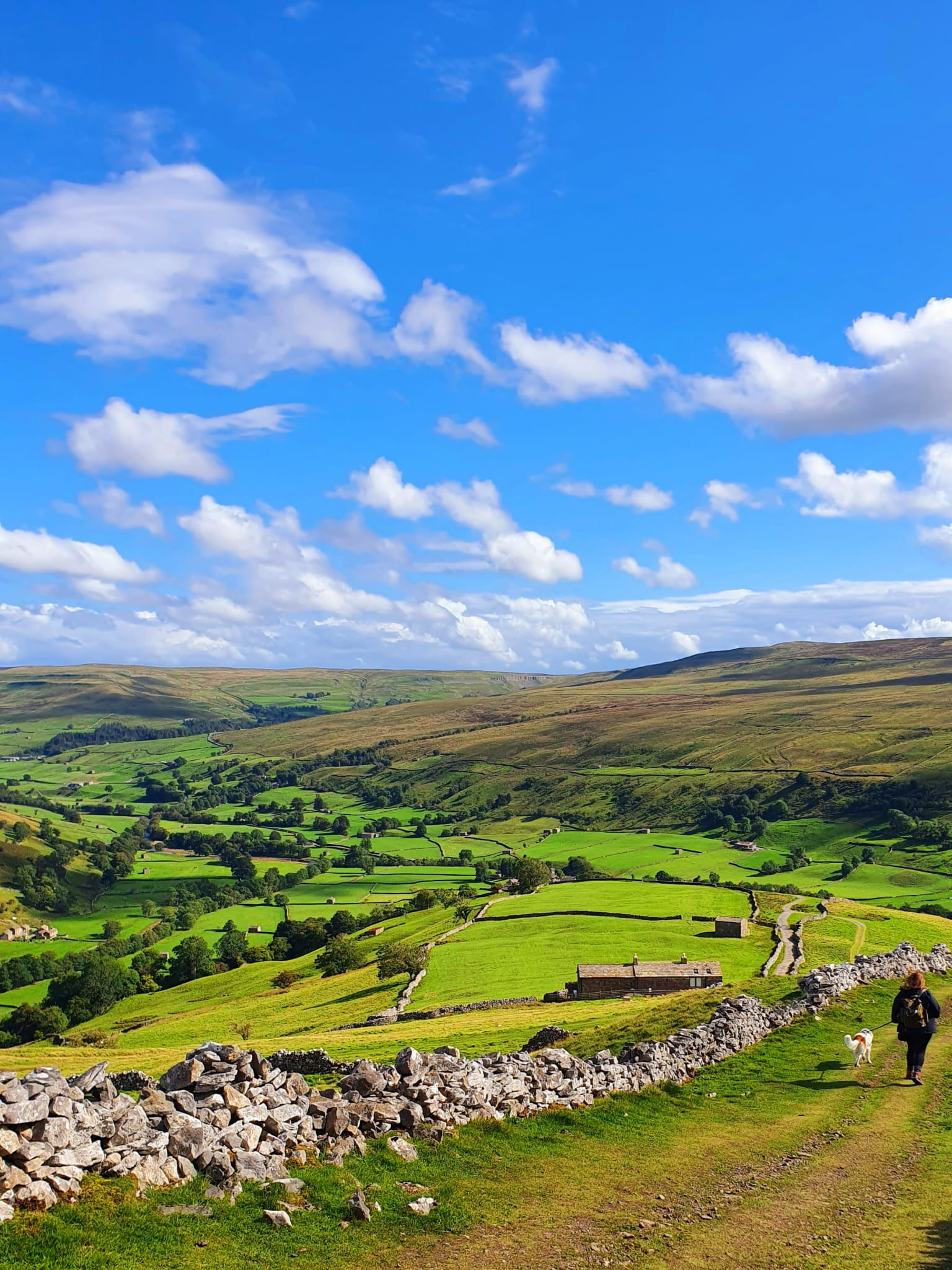 WhatsApp Image 2025 11 02 at 13.44.56