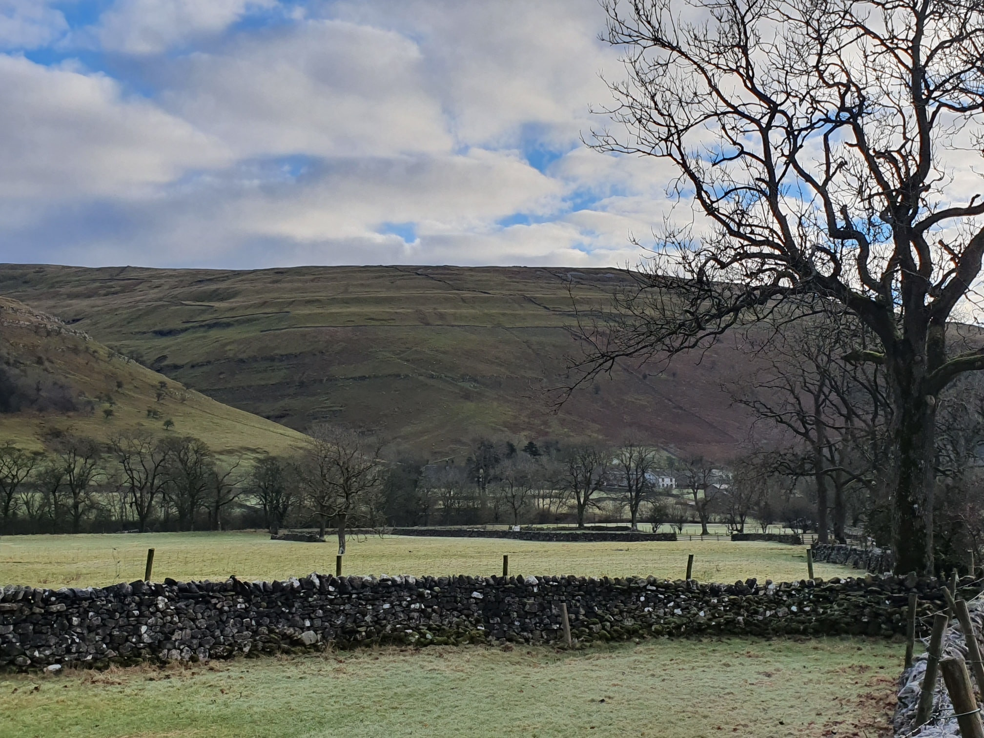 This weekends walk 1   pic 3