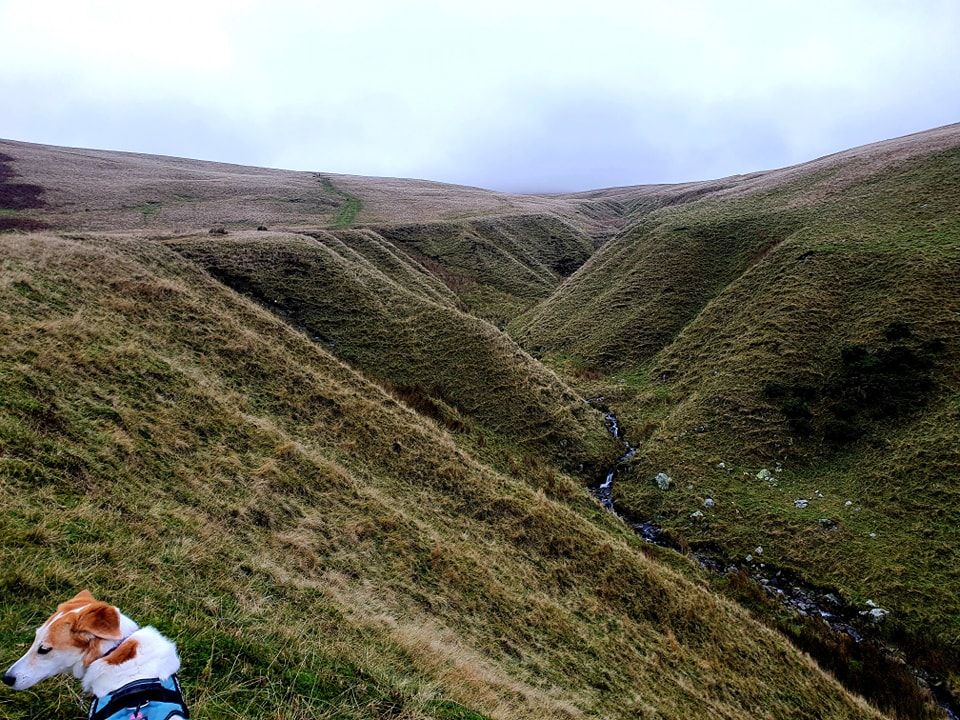 This Weekend's Walk #25 02.11.24