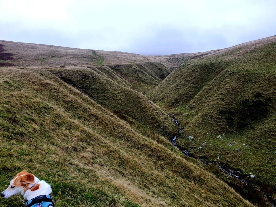 This Weekend's Walk #25 02.11.24