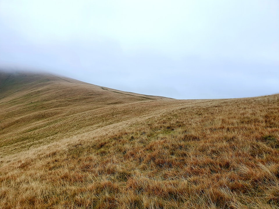 This weekends wallk 23 pic 10