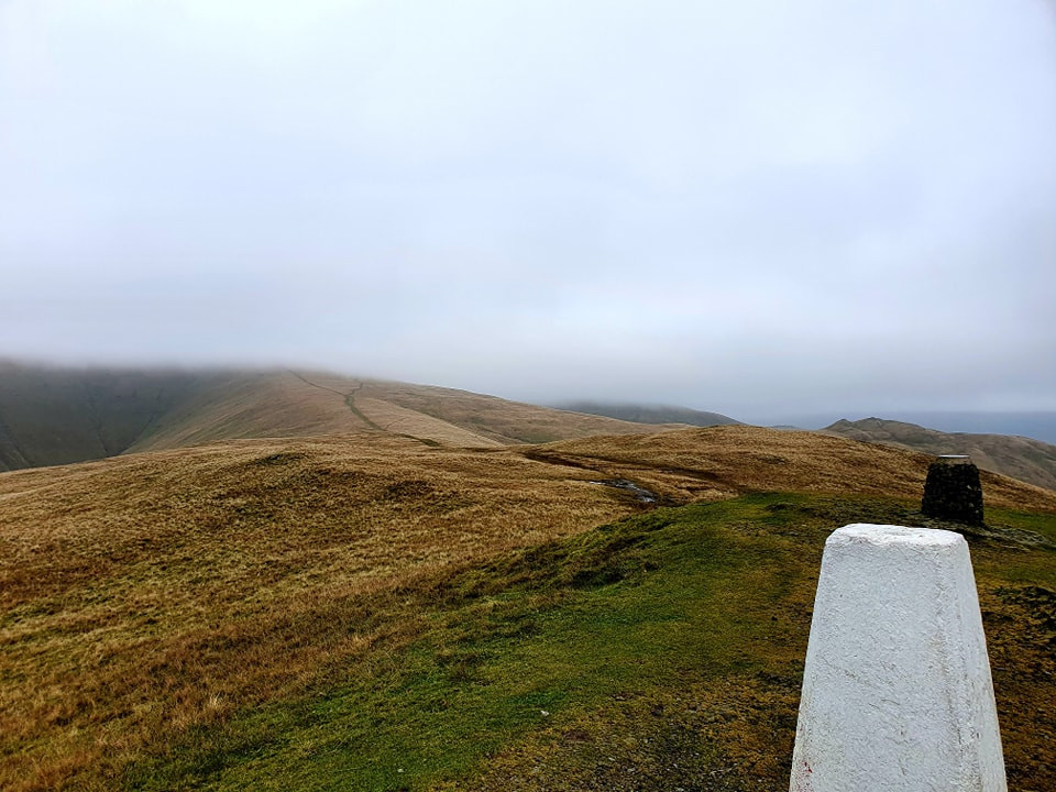 This weekends wallk 23 pic 11