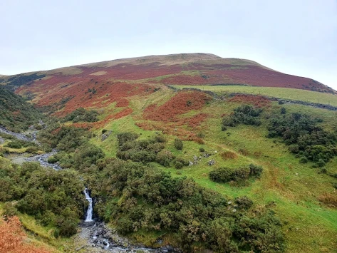 This weekends wallk 23 pic 2