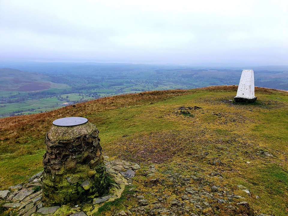 This weekends wallk 23 pic 3