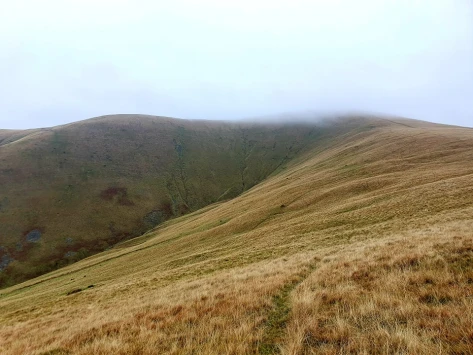 This weekends wallk 23 pic 4