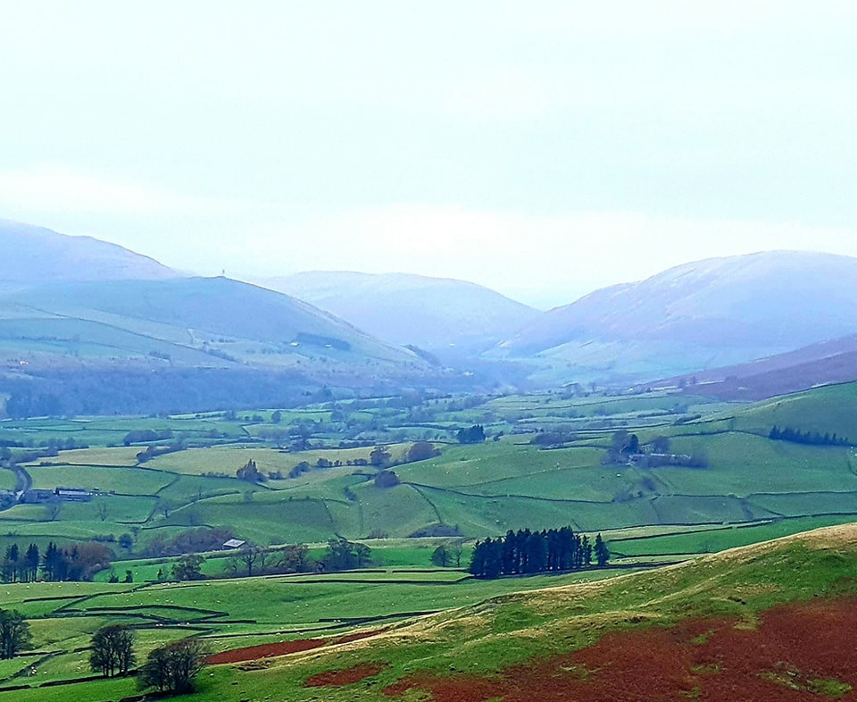 This weekends wallk 23 pic 5