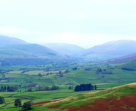 This weekends wallk 23 pic 5