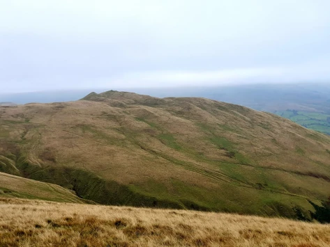 This weekends wallk 23 pic 6