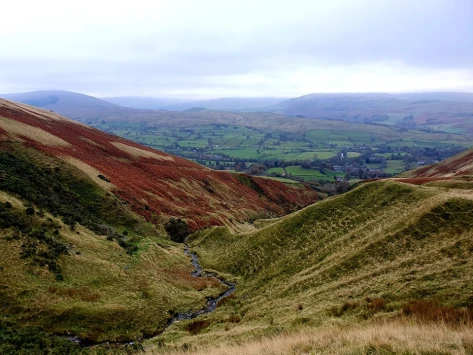 This weekends wallk 23 pic 9