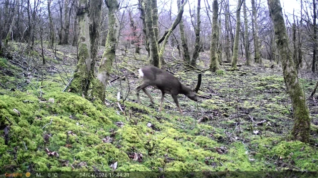 91df3b6c 4acb 48da 8ab8 56f0bcc3dabd