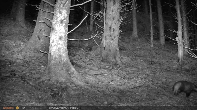 E2d2eb7e baba 403e 9ef5 020b39c95c15