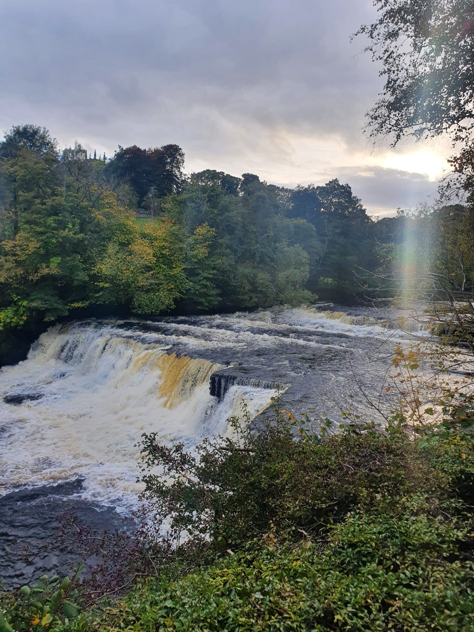 WhatsApp Image 2025 11 20 at 18.44.57