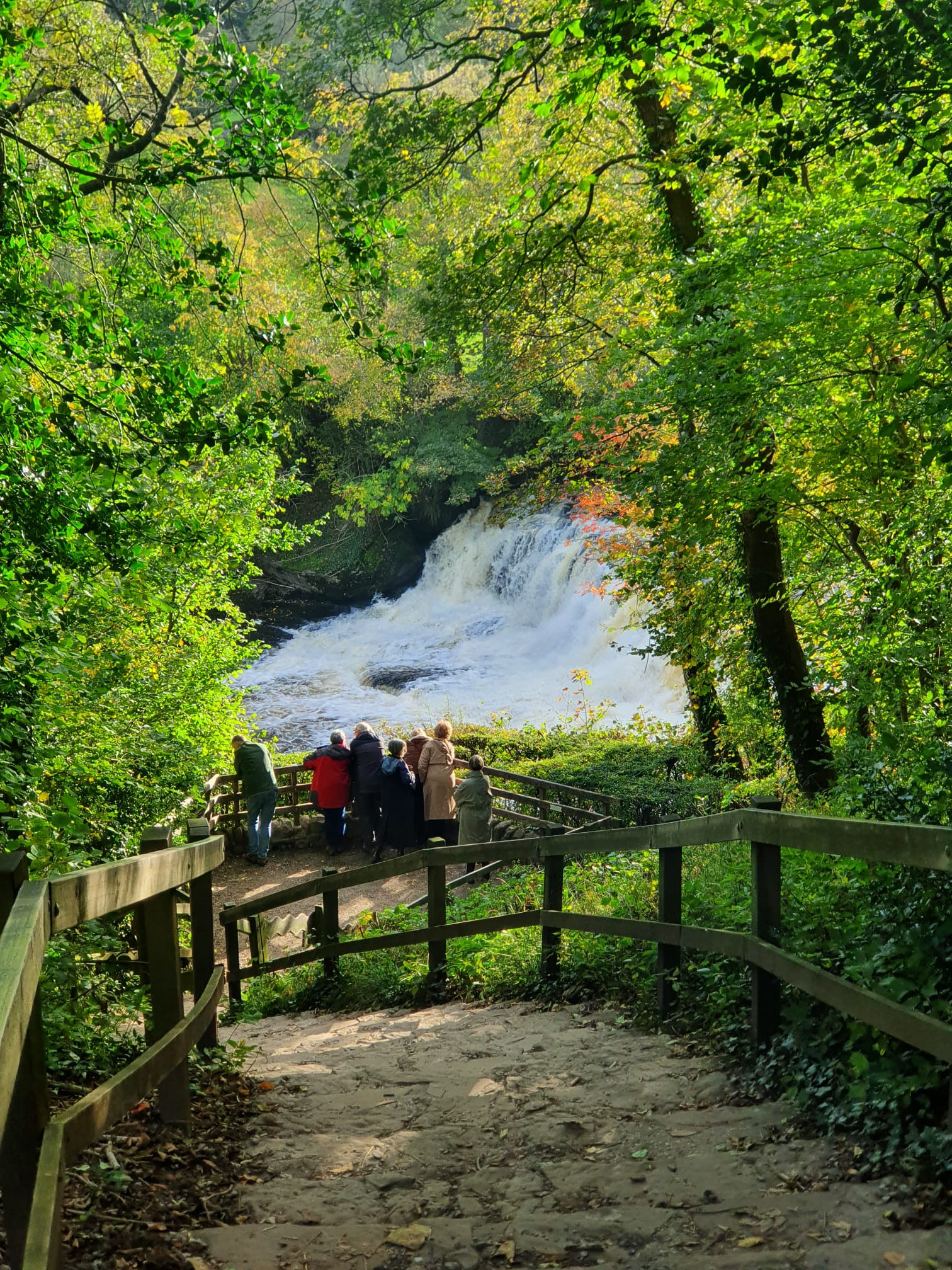 WhatsApp Image 2025 11 20 at 18.44.58