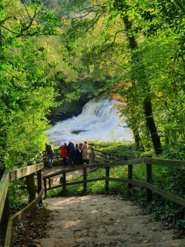 WhatsApp Image 2025 11 20 at 18.44.58