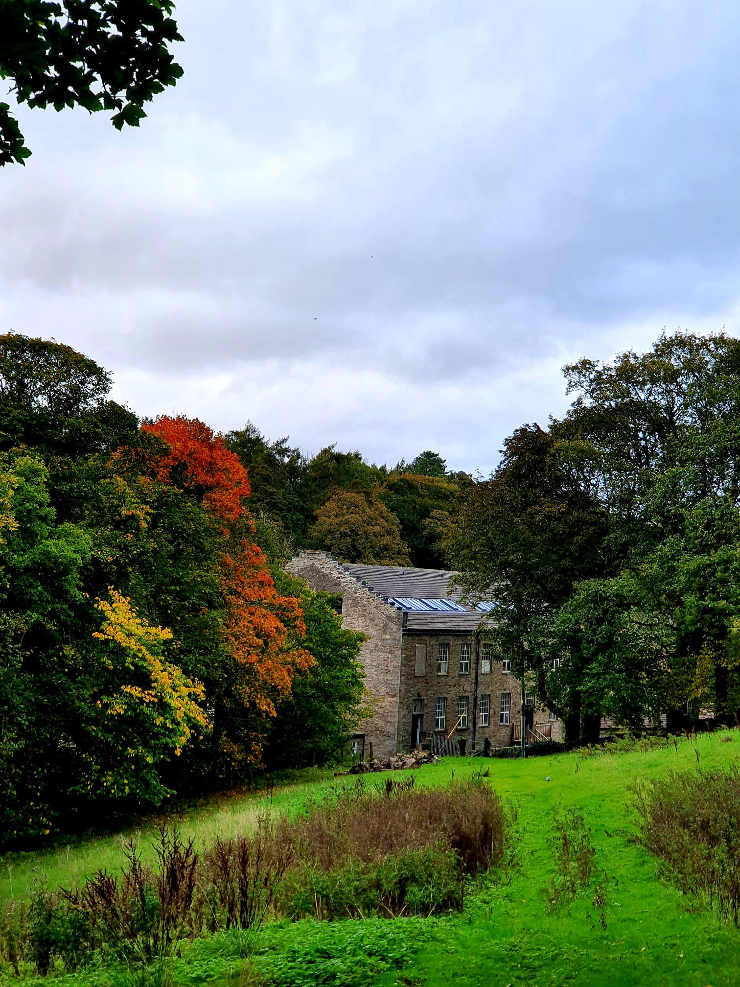 WhatsApp Image 2025 11 20 at 18.44.59 (1)