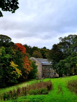 WhatsApp Image 2025 11 20 at 18.44.59 (1)