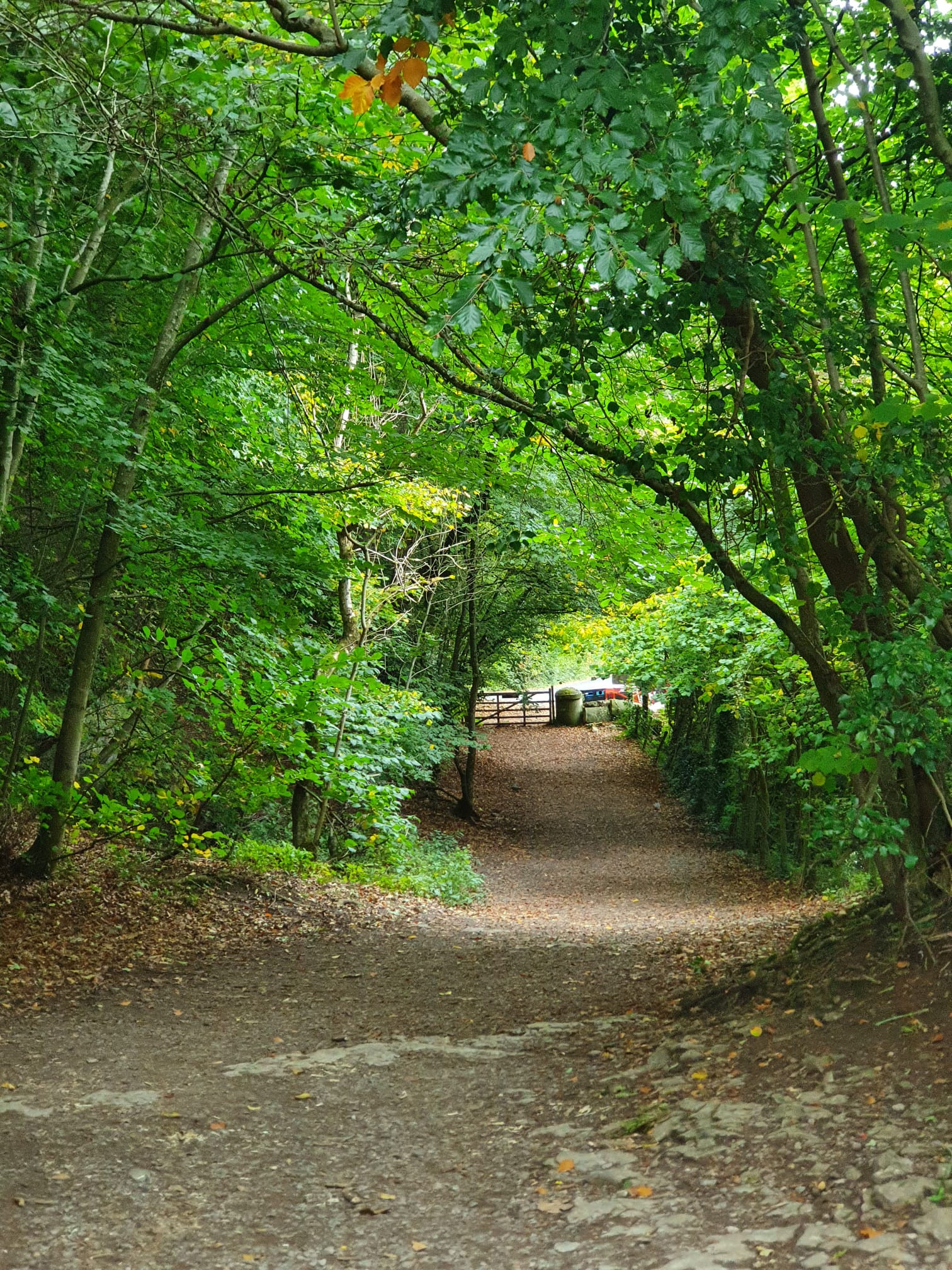 WhatsApp Image 2025 11 20 at 18.45.00 (2)