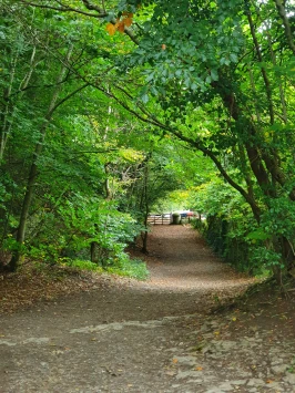 WhatsApp Image 2025 11 20 at 18.45.00 (2)