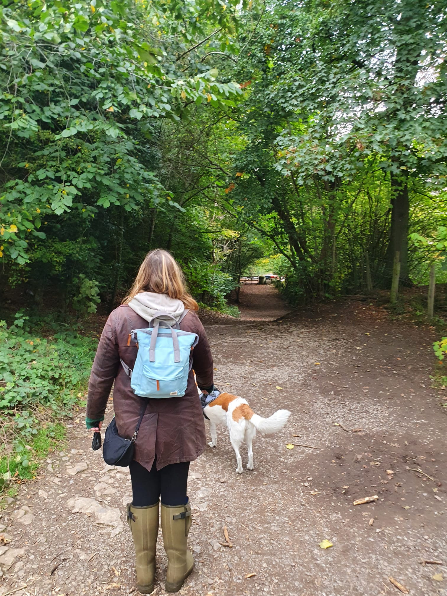 WhatsApp Image 2025 11 20 at 18.45.00 (3)