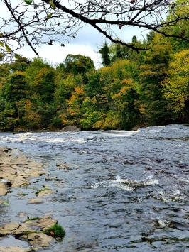 WhatsApp Image 2025 11 20 at 18.45.01 (1)