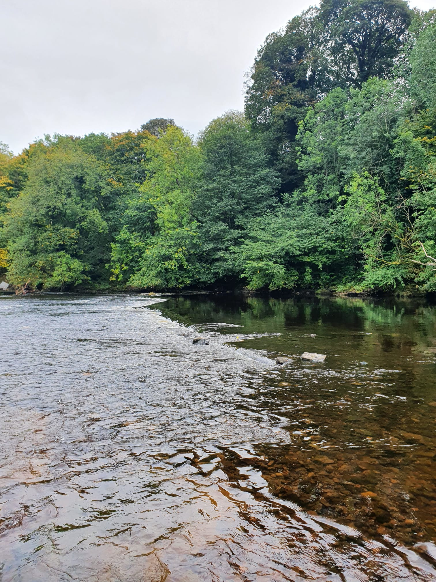 WhatsApp Image 2025 11 20 at 18.45.01 (2)