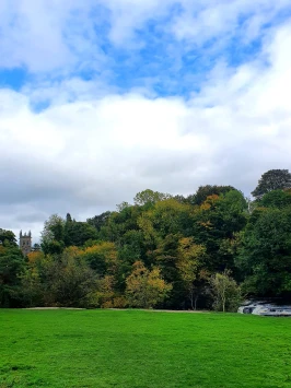 WhatsApp Image 2025 11 20 at 18.45.01