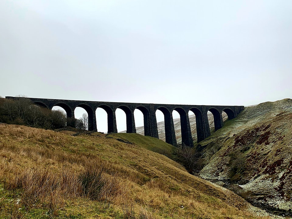 This weekends walk 15 pic 11