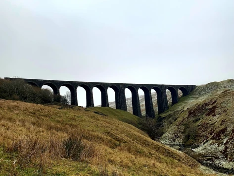 This weekends walk 15 pic 11