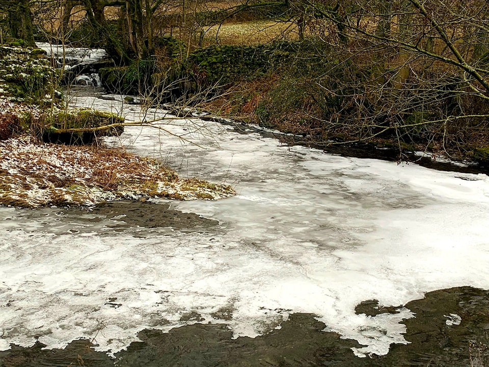 This weekends walk 15 pic 12