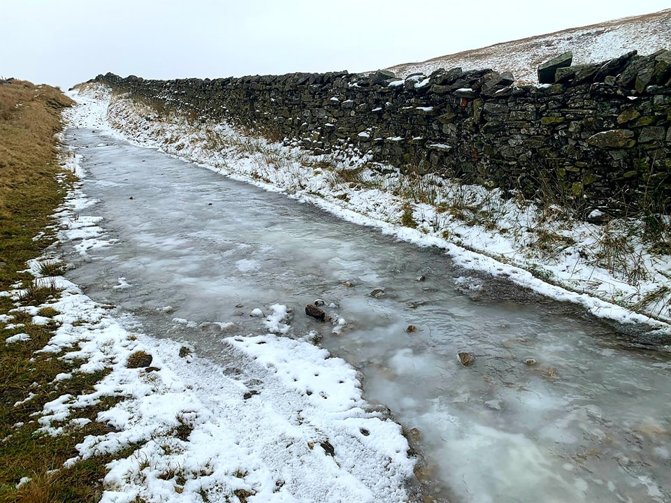 This weekends walk 15 pic 2