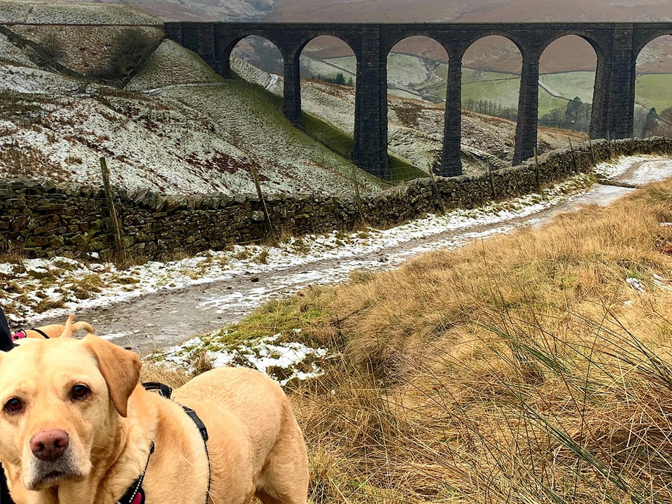 This weekends walk 15 pic 3