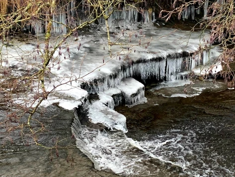 This weekends walk 15 pic 7