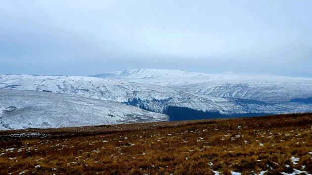 This weekends walk 15 pic 9