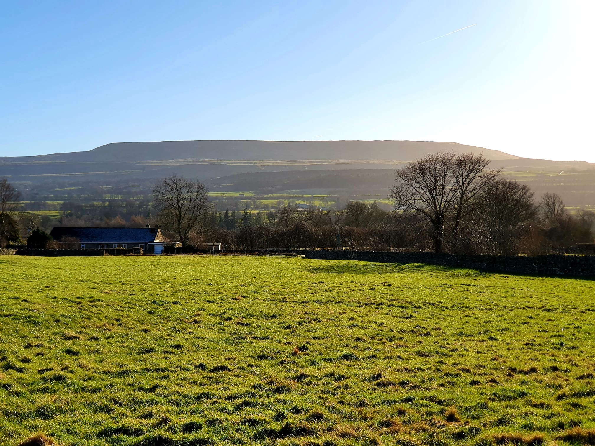 WhatsApp Image 2025 02 06 at 17.52.09 (4)