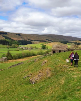 This weekends walk number 27 pic 11