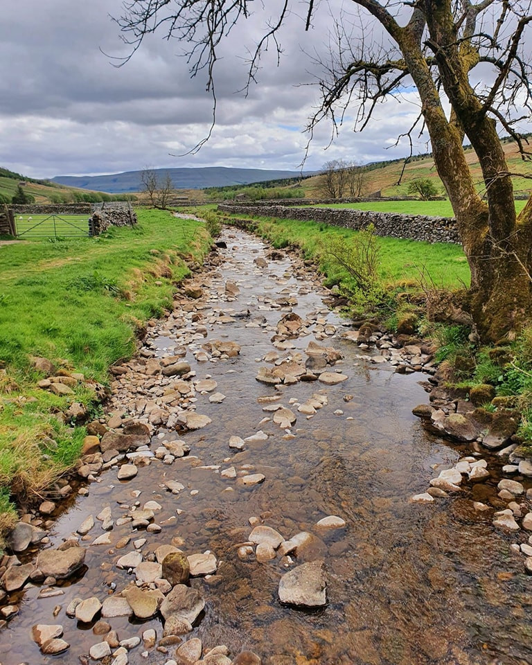 This weekends walk number 27 pic 3