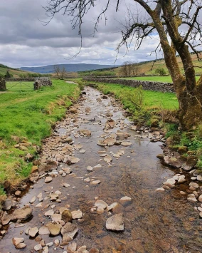 This weekends walk number 27 pic 3